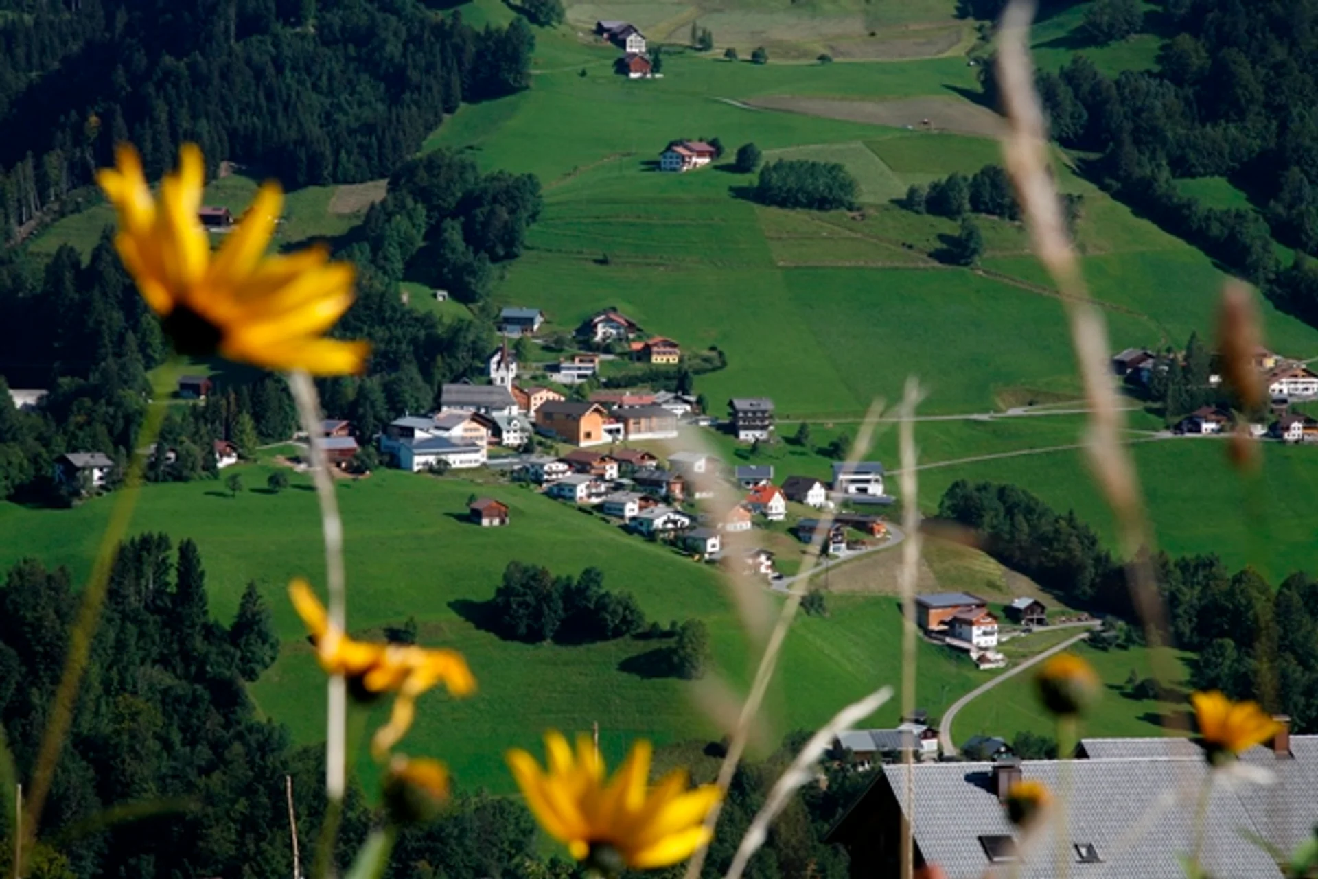 Sommer Blons - Haus Sücka - Ferienhaus Haus Sücka Blons, Großes Walsertal