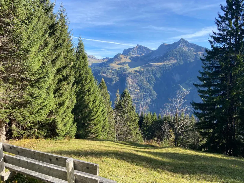 Bergweit im Großwalsertal - Haus Sücka - Ferienhaus Haus Sücka Blons, Großes Walsertal